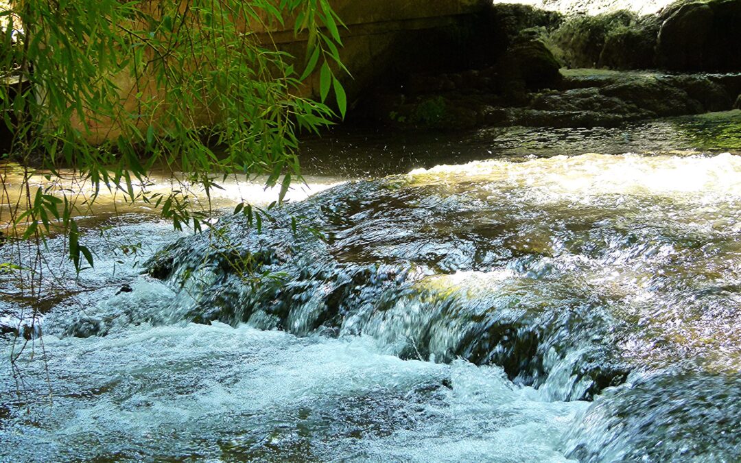 The UK’s Water River Crisis: Up Shit Creek