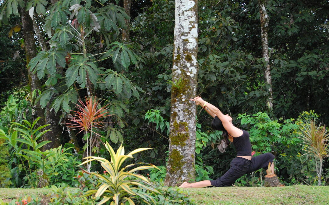 Embrace nature’s mat: Taking yoga outdoors 