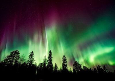 WATCH: The Not So Northern Lights