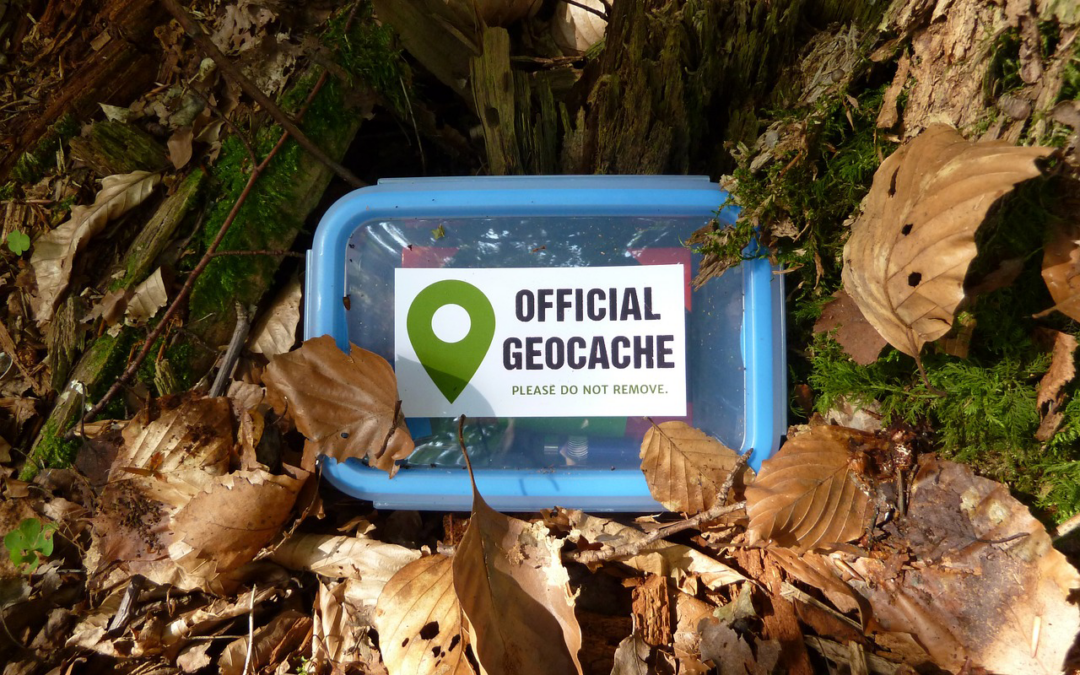 Geocaching For Dummies: From Muggle To Maestro